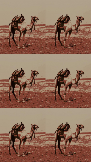 Bhump Day 135: Back at the Block