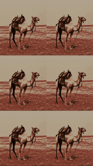 Bhump Day 135: Back at the Block