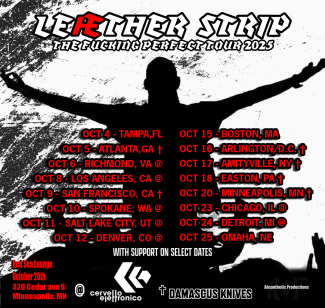 Leæther Strip with Damascus Knives in MN