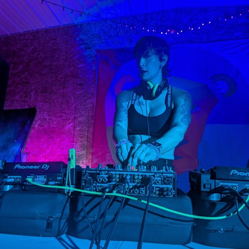 Live DJ Mix at Wildcat